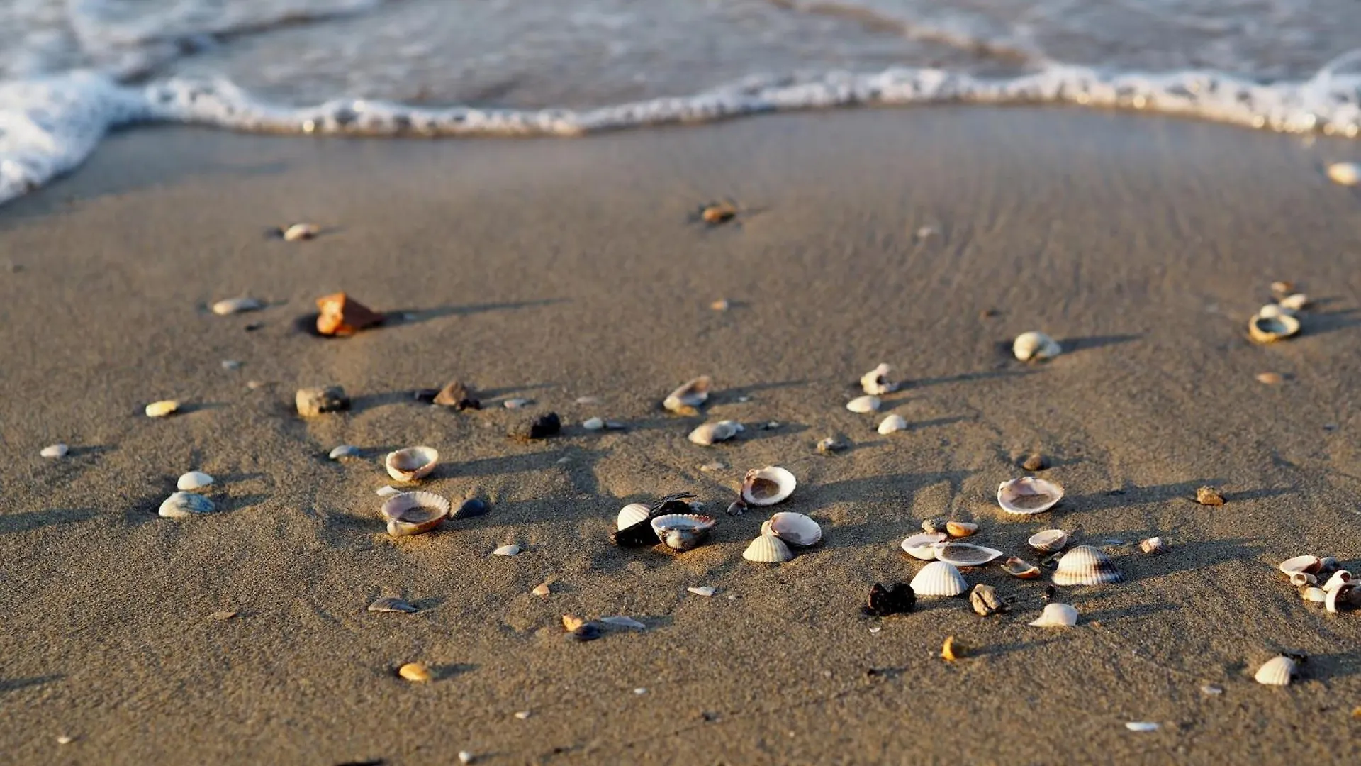 Apartment Cozy Flat Near Bibione Beach - Beahost Italy